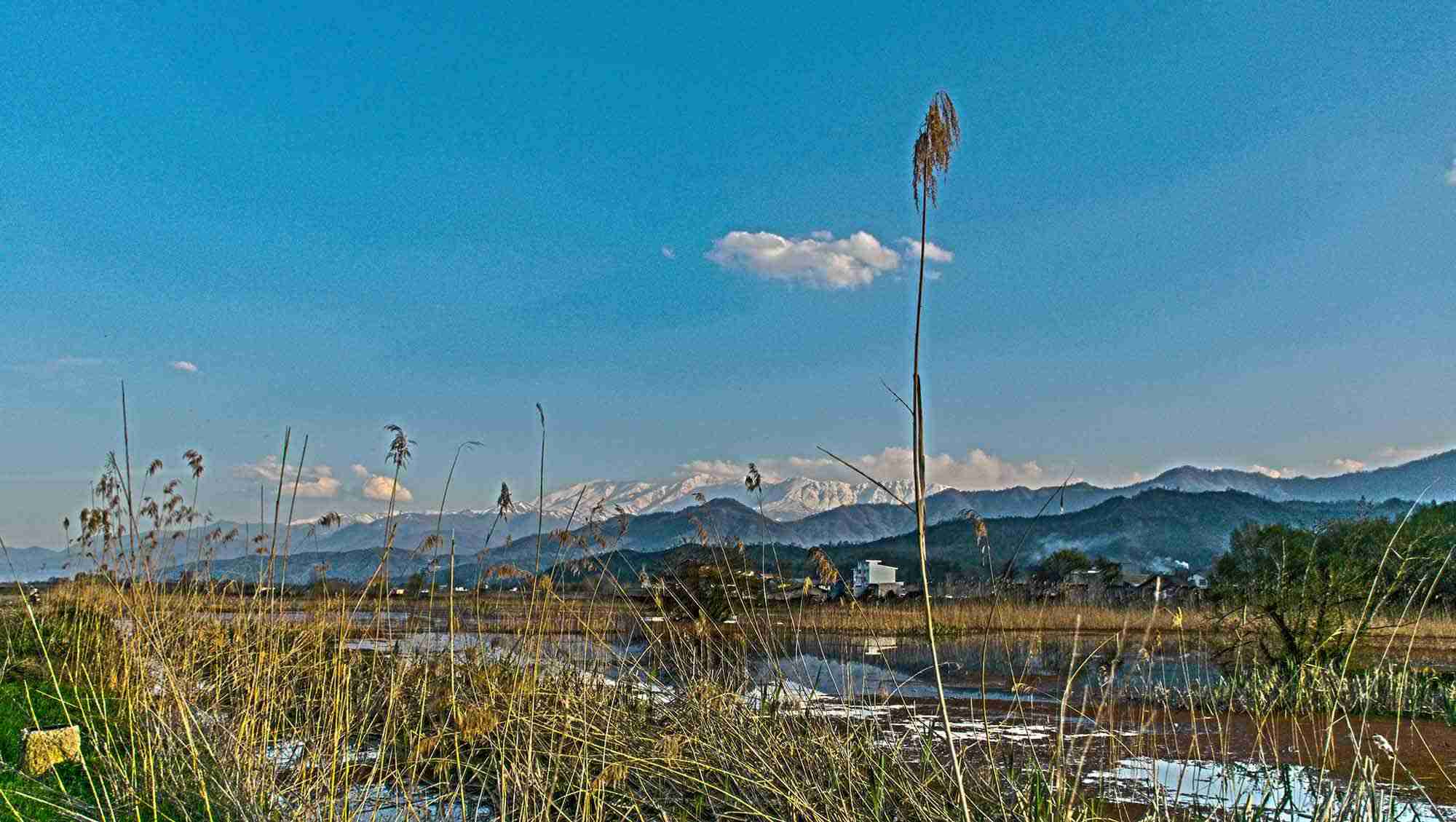 تالاب زربیجار