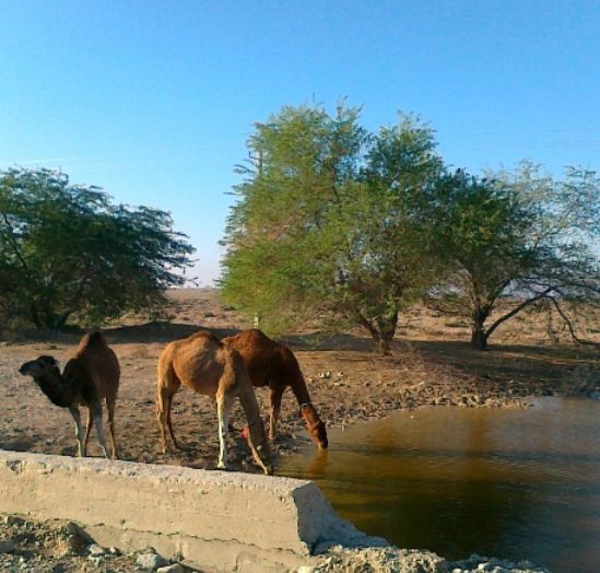 منطقه حفاظتشده مند