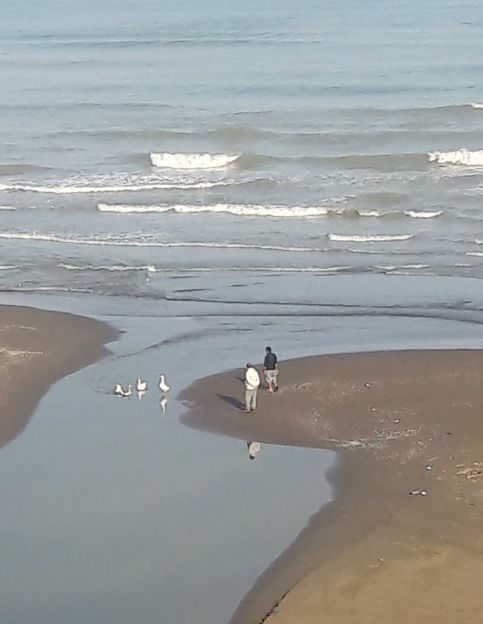 ساحل چاکسر