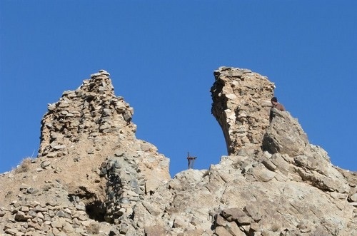 چهار طاقی ریوند