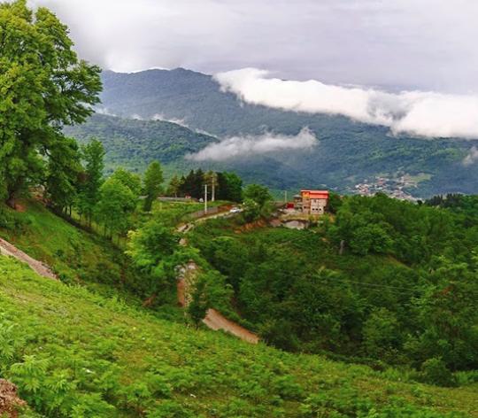 شیرگاه