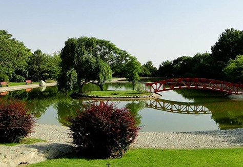  باغ گیاه شناسی ملی ایران