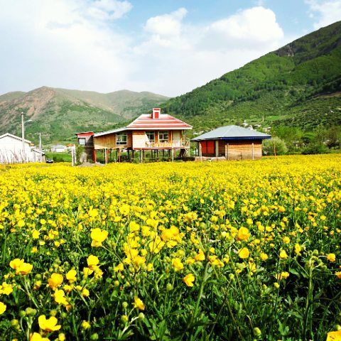 روستای داماش