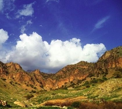 روستای نارک