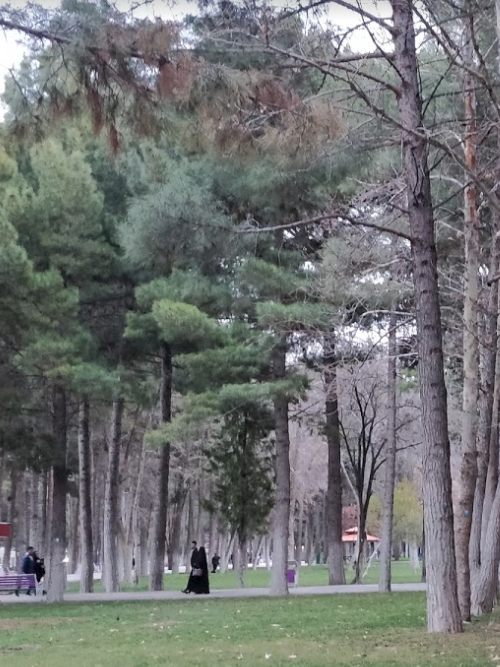 پارک شاهد