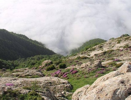 منطقه حفاظت شده پرور