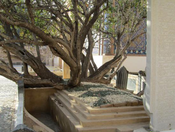 بقعه شیخاحمد جامی
