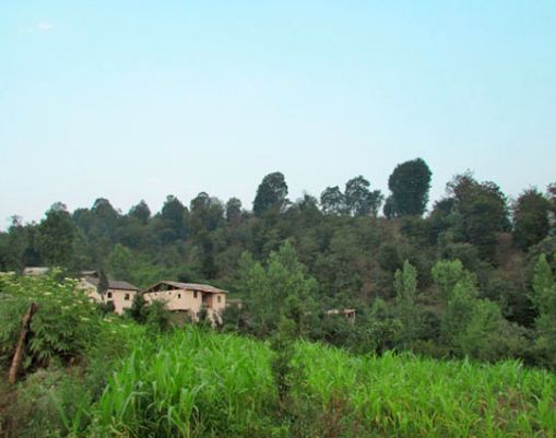 روستای فیروزآباد بابل