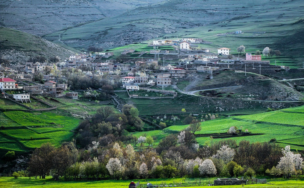 کلیبر