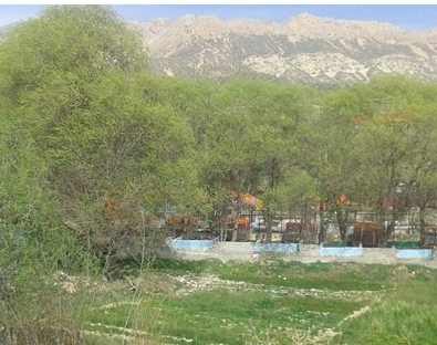 پارک چشمه نباتی