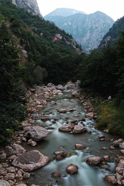پارک جنگلی سفید آب