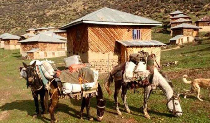 اقامتگاه بوم گردی نوشا