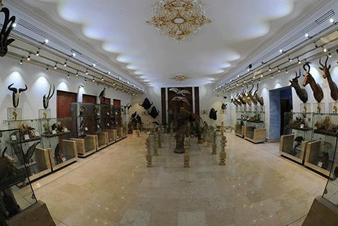موزه تاریخ طبیعی دارآباد