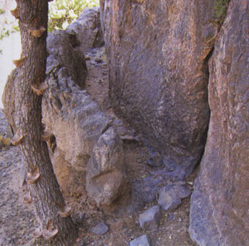 تنگ بلاغی