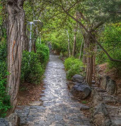 پارک قیطریه