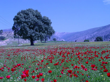 روستای موگرمون