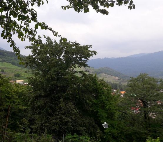 روستای کوشک سرا