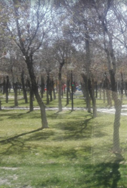 بوستان پیروزی اراک