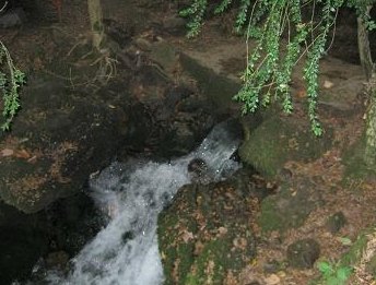 چشمه آب معدنی قاسمآباد