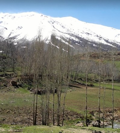 روستای ونایی