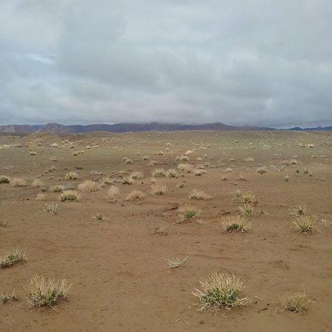 کویر کبودان