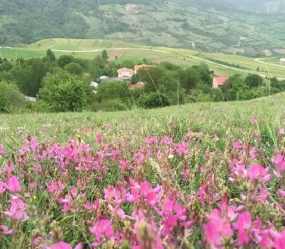 روستای لمرد
