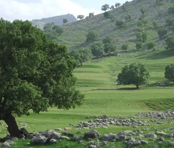 روستای لار