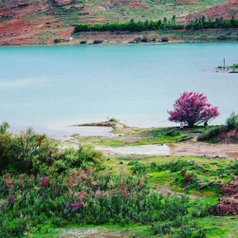 سد کارده