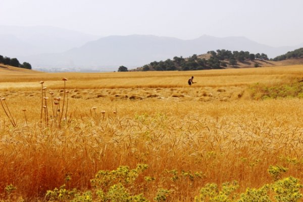 روستای مختار