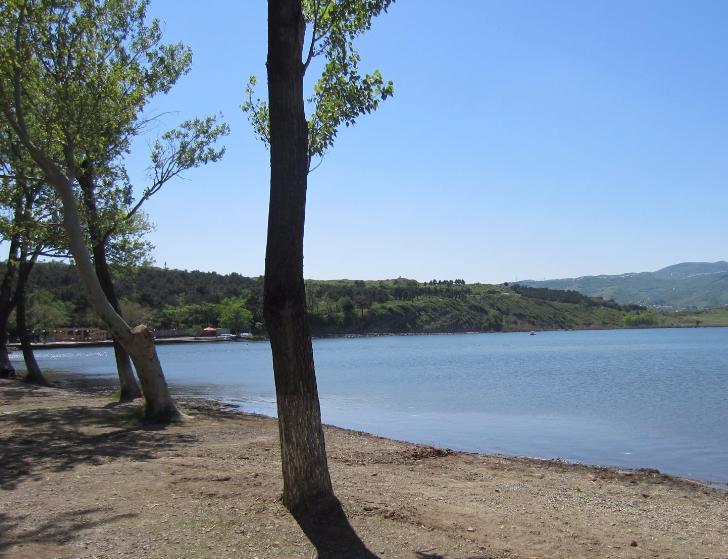 دریاچه لیسی