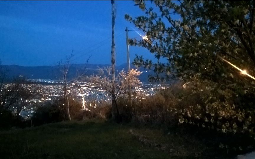 رستوران کا باقی