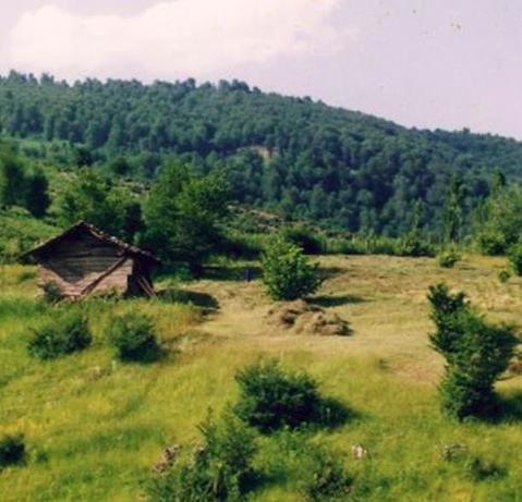 روستای برسه