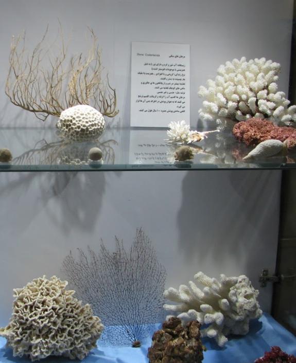 موزه صدف اصفهان