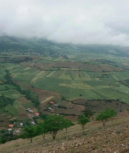 روستای چناربن