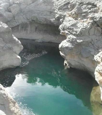 چشمه شاه پیچاب
