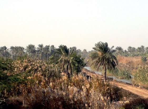 جزیره مینو