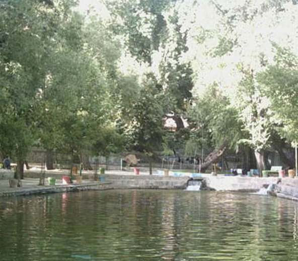 چشمه سیاسرد