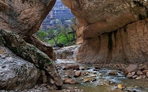 تنگه شیزر کوهدشت