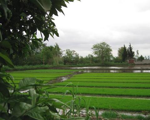 روستای ایمن آباد