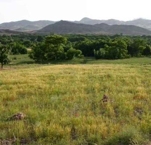 دهکده ییلاقی کمال الملک (کلّه)