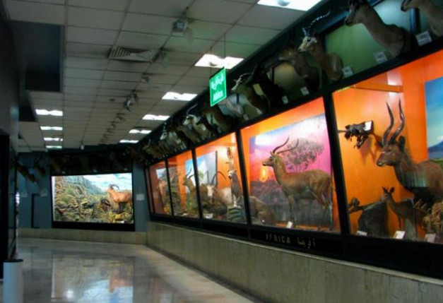 ﻣﻮزه ﺗﻨﻮع زﯾﺴﺘﯽ پردیسان