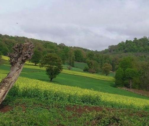 روستای سه کیله