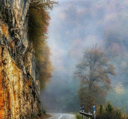 جنگل دالخانی