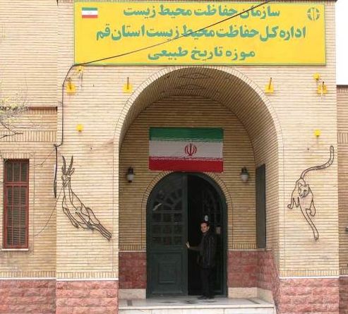 موزه تاریخ طبیعی