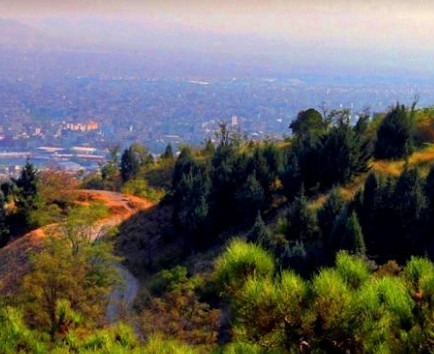 پارک جنگلی لویزان