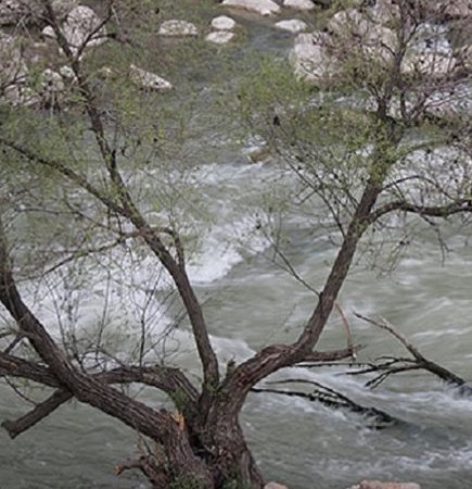 رودخانه سزار