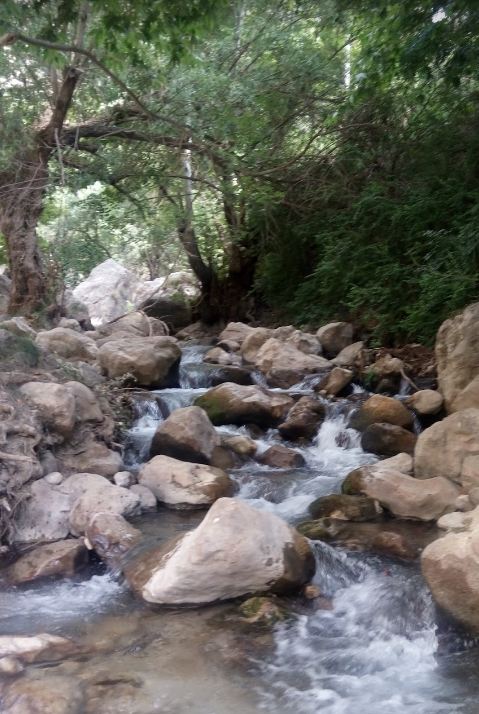 تنگ تهی