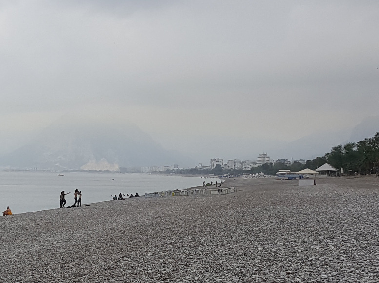 ساحل کنیالتی