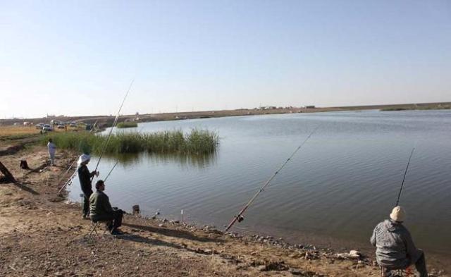 شیرین سو