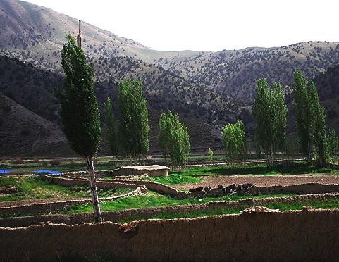 روستای چهارباغ